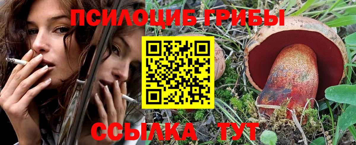 Галлюциногенные грибы Cubensis  Вход с VPN  Галлюциногенные грибы мицелий  Новосибирск 